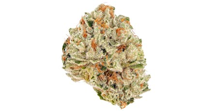 Nuthera Gelato Cake Popcorn Flower | 14g