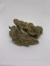 Blue Sunshine - Noble Farms (H)
