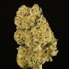 Platinum Shelf - Garlic Crasher (I)