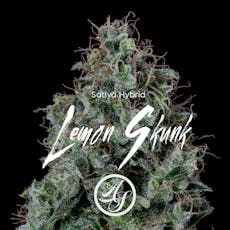 Flower: Lemon Skunk