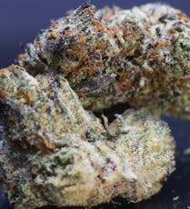 Platinum Shelf - Grease Monkey (I/H)