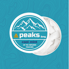 Infused Pouch (20 Pack) | Cool Mint