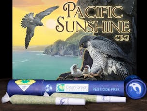 Falcanna PR 2pk Pacific Sunshine CBG 1.2g