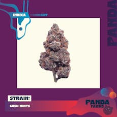 Gush Mints | INDICA | Flower | 3.5G