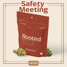 Safety Meeting (Sativa) - 14g