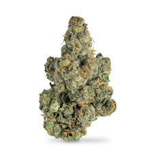 Slam Dunk Skunk