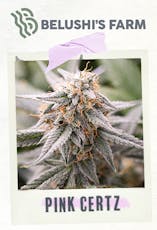 Pink Certz | The Blues Brothers | Belushi's Farm | 3.5G