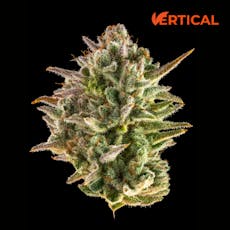 VERTICAL - BLUEBERRY CUPCAKE 3.5G HYBRID