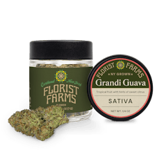 Grandi Guava | Flower | Sativa | Quarter (7g) | Florist Farms