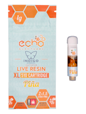 Echo Electuary Live Resin 1g Pina 2:1 Cartridge