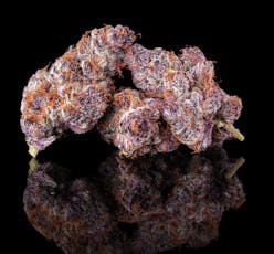Maven Lemon Cherry Tropicanna 3.5g
