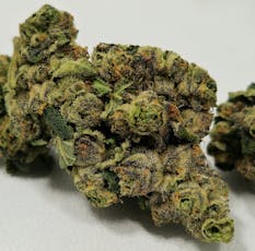 Sweet Thang | High Supply | Buds | 3.5g