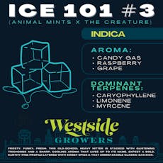 Reserve - Ice 101 #3 - 3.5g