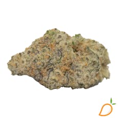 Stash Box - Bow House