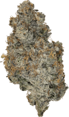 Cheech & Chong's Drooler Prepack (1/8 oz) Don Mega