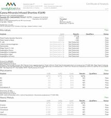 Theraplant Canna Miranda Infused Shorties (H) - 41690