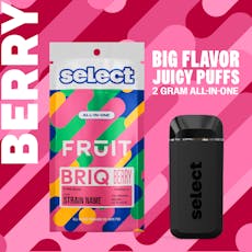 Select - FRUIT BRIQ - Huckleberry Jam - 2g