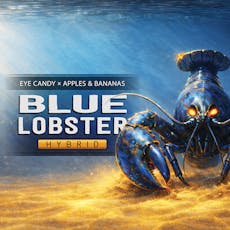 Blue Lobster 2g - Harmony Farms