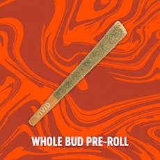 Vivid - Alien Mintz - Pre-Roll - 1g