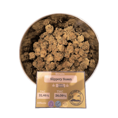 Slippery Susan | Deli Style Flower | Island Sun