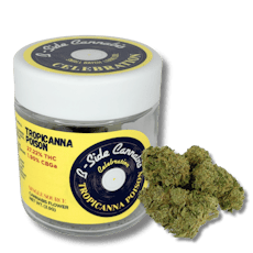 B-Side Cannabis 3.5g Flower - Tropicanna Poison