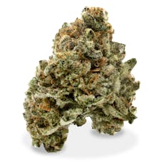 Focus North - Lunarc #6