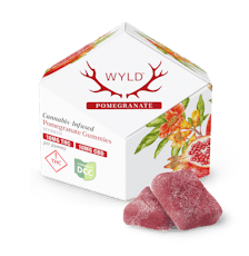 Pomegranate 1:1 CBD - Gummies - 10pk - 100mg - WYLD