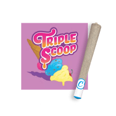Triple Scoop