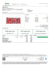 Ratioed Wild Berries Chocolate 100mg (00149)