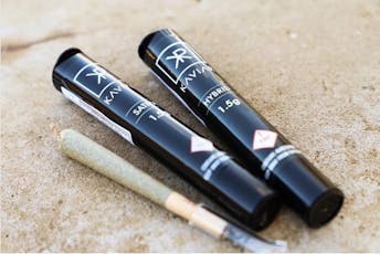 Kaviar - Infused Pre Roll - Chili Jelly (H) 1.5g