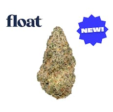 Float - Pie Hoe - Flower - 3.5G