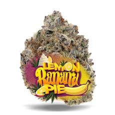 Lemon Banana Pie - 1/8 oz Premium Flower