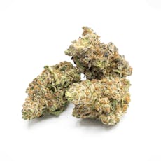 Illicit | Lemon Tree Punch (H) Popcorn Flower | 7g