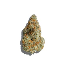 Silver Shelf - Black Maple (I)