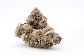 Fruit Roll Dragstrip - Gaia's Ganja Garden (IH)