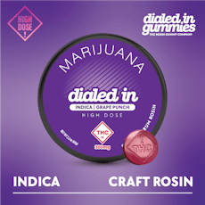 DIALED IN - GUMMIES ROSIN - 300MG - 10PK - GRAPE PUNCH - INDICA