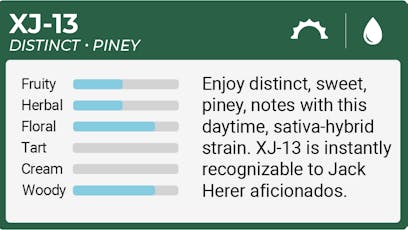 Cartridge | XJ-13 | .5g