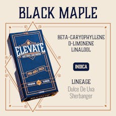 ELEVATE - PINS - PREROLL - 0.5G - 10PK - BLACK MAPLE - INDICA