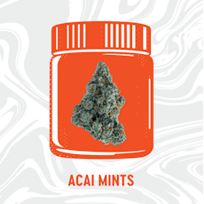 Vivid | Acai Mints 3.5g