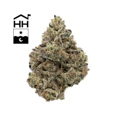 Harbor House Papaya Cake 3.5g