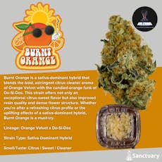 Volcanna Crumble (1.0g) Burnt Orange