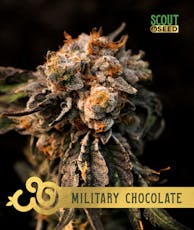28g | Military Chocolate