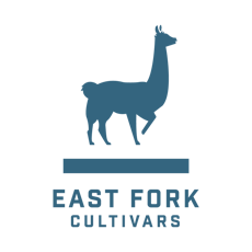 Sasquatch | Create Pre-roll 7PK | 3.5g