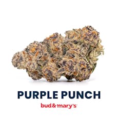 Bud & Mary's Purple Punch Buds