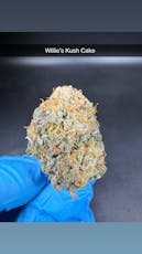 Flashback- Flower - Hybrid