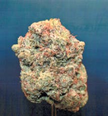 Curaleaf Whole Flower 3.5g Atomic Breath (H) 01147 TC 29.171%