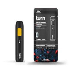 Turn TURN HYBRID Retrovision Disposable 2g - Down The Rabbit Hole