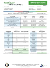 Blueberry Dream All-In-One 0.5g (00037)