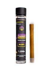 Dank | Tropic Thunder | Sativa-Dominant Hybrid | Blunt | 1.25g