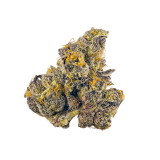 Gastro Pop Flower by Elysium